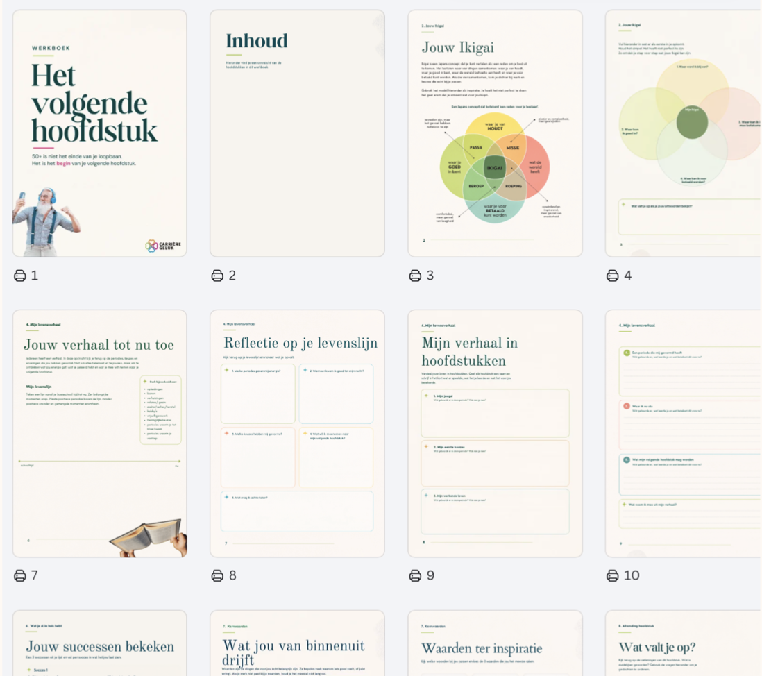 Overzicht van de pagina's uit het werkboek 'Het volgende hoofdstuk' voor Carrière Geluk